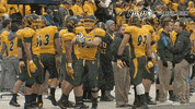 north dakota state bison GIF by NDSU Athletics