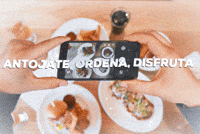 foodstampmx foodstamp GIF
