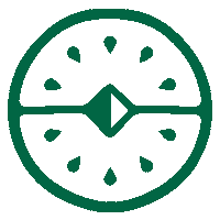 keyweemotion branding content kiwi contentcreation Sticker