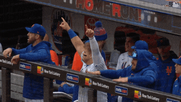 Happy Major League Baseball GIF by New York Mets