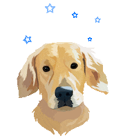 Dog Pet Sticker by Watertown Humane Society