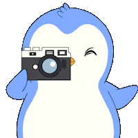 Penguin Smile Sticker by Pudgy Penguins