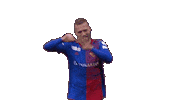 Jubel Sticker by FC Basel 1893