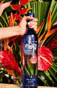 Fun Serve GIF by Milagro Tequila