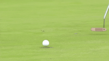 Putting Daniel Gaunt GIF by PGA EuroPro Tour