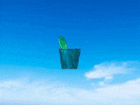 GIF by Kunstkwartier