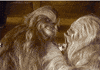 Serious Star Wars GIF