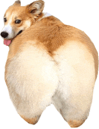 Dog Sticker by namslam