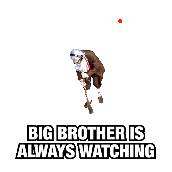Monitoring Big Brother Sticker