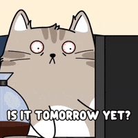Over It Help GIF by MESA My Emotional Support Animal