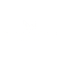 templodacarnemarcosbassi bbq barbecue carne churrasco Sticker