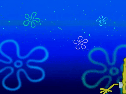 season 5 episode 13 GIF by SpongeBob SquarePants