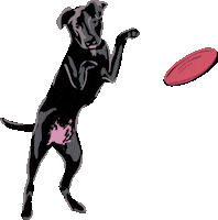 Fetch Best In Show Sticker by Vera Bradley