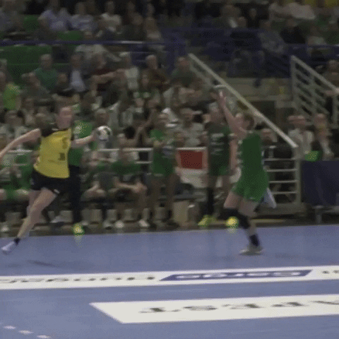 rostov-don handball GIF by EHF