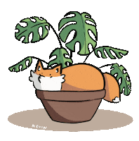 kevintheangryboi kawaii flower fox new post Sticker