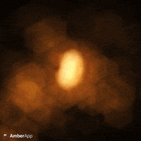 Money Glow GIF by AmberApp