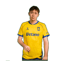 Goalcelebration Sejr Sticker by Brøndby IF