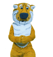 University Of Missouri Yes Sticker by MizzouAlumni