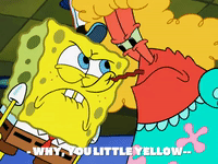 season 7 episode 13 GIF by SpongeBob SquarePants
