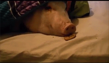 night bed GIF