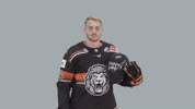 Hockey Del GIF by Löwen Frankfurt