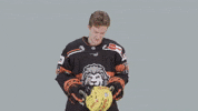 Hockey Del GIF by Löwen Frankfurt