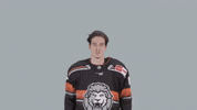 Hockey Del GIF by Löwen Frankfurt