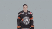 Hockey Del GIF by Löwen Frankfurt