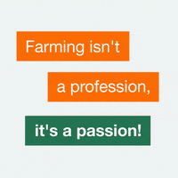 Typography Agriculture GIF by KWS