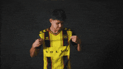 South Carolina Soccer GIF by Charleston Battery