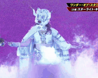 Stardom Starlight Kid GIF