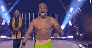 All Elite Wrestling GIF by AEWonTV