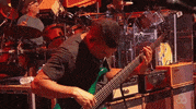 dead & company bonnaroo 2016 GIF by Bonnaroo Music and Arts Festival