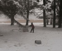 mess ent GIF