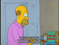 homer simpson episode 10 GIF