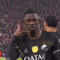 France Fan GIF