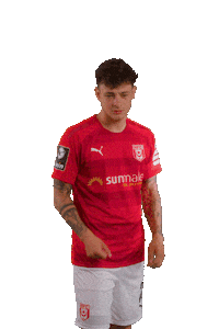 hallescherfussballclub fight football soccer fussball Sticker