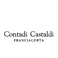 contadicastaldi cheers toast winery white wine Sticker