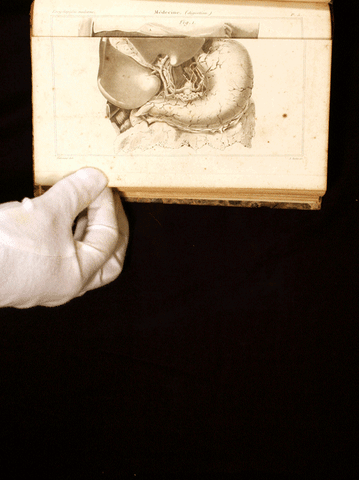 GIF by Loyola University New Orleans, Monroe Library, Special Collections & Archives