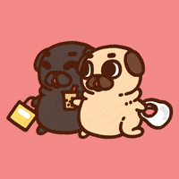 GIF by Puglie Pug