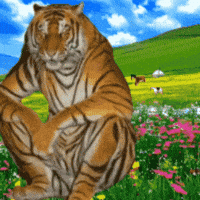 Lion Yelling GIF