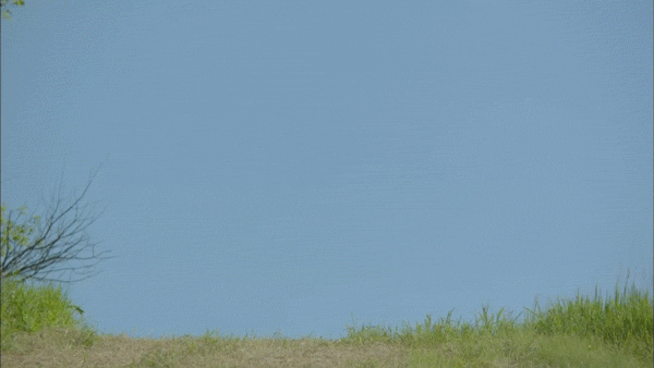martin sheen marilla cuthbert GIF by PBS