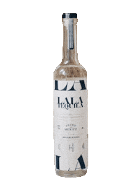 Drunk Cinco De Mayo Sticker by lala tequila