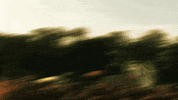 wiz khalifa dance GIF by The NGB