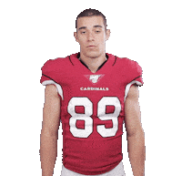 Arizona Cardinals No Sticker by NFL