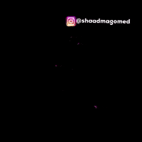 Royal Challengers Bangalore Rr GIF