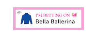 Horse Racing Sticker by Kentucky Derby