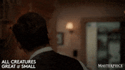 Brace Yourself Here We Go GIF by MASTERPIECE | PBS