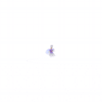 Azerbaycangiqaaddımlayır GIF by Azercell