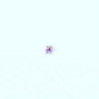 Azerbaycangiqaaddımlayır GIF by Azercell